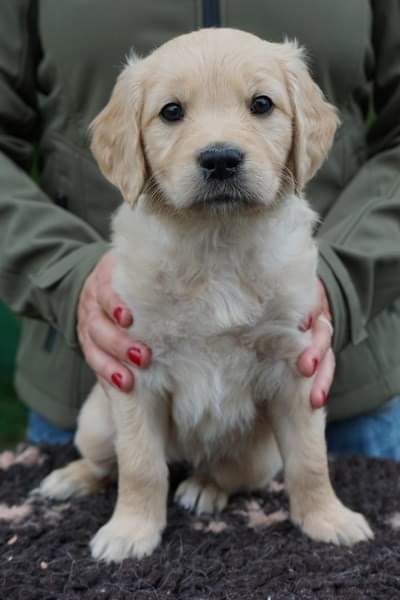 Mrs Black Wo 7_2.jpg